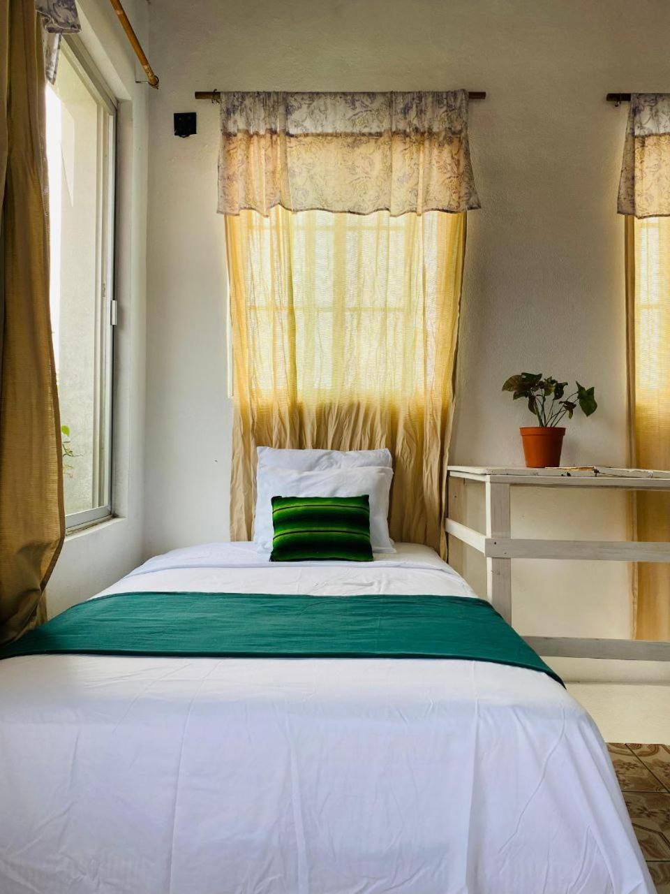 Hotel Casa Mima Flores Esterno foto