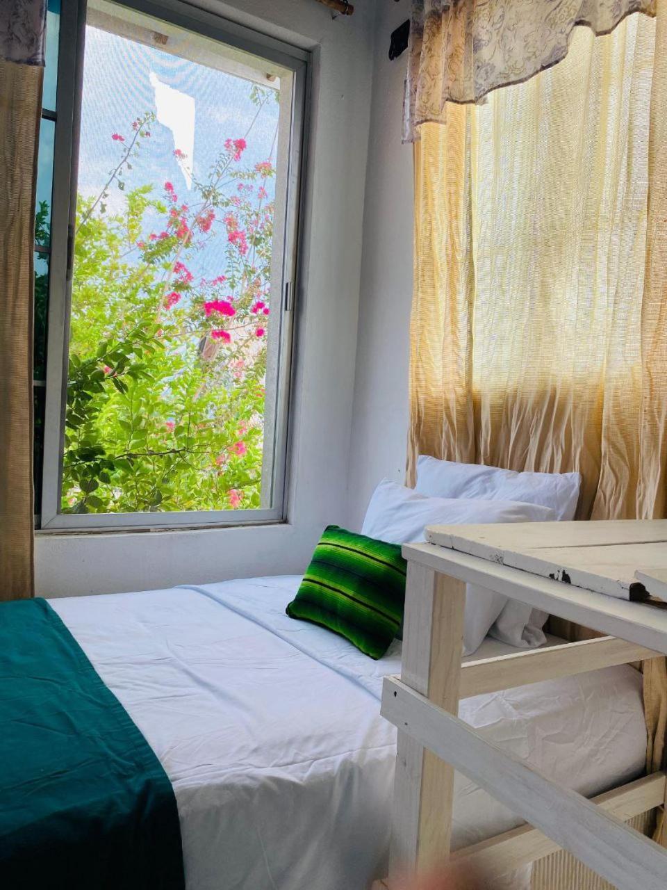 Hotel Casa Mima Flores Esterno foto